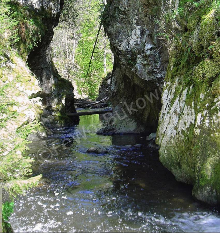 Fewo Bukowina Waldshut-Tiengen Exteriör bild