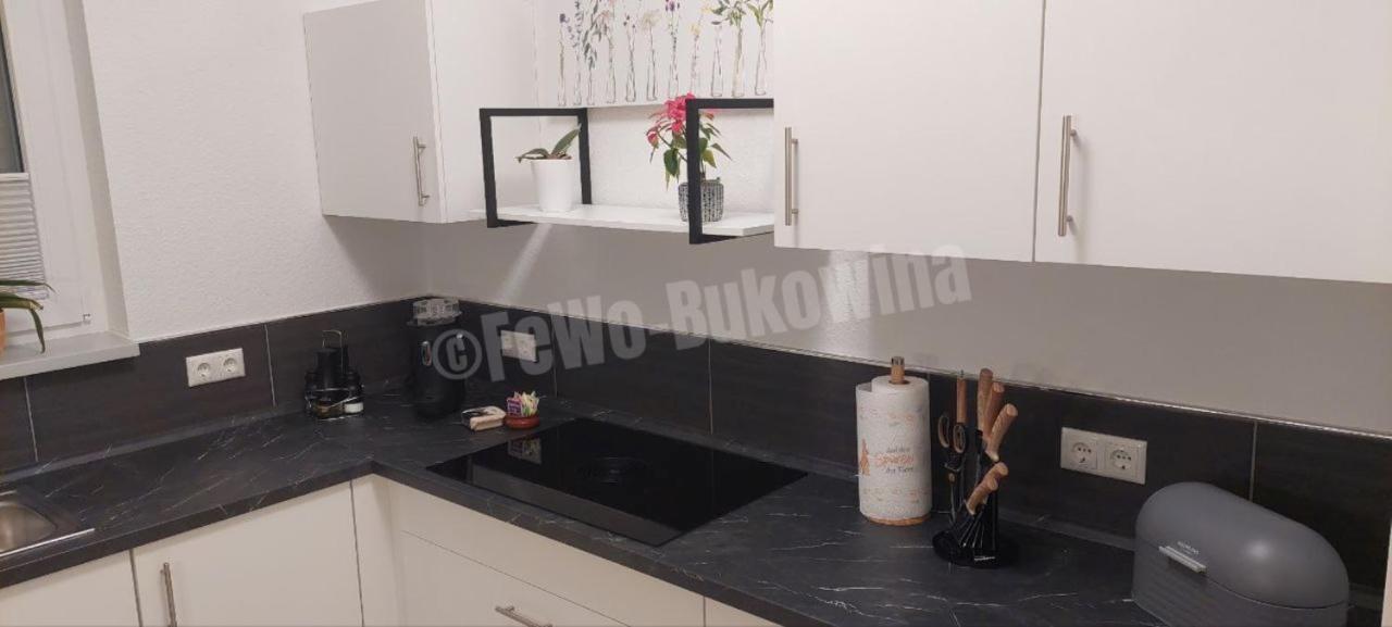 Fewo Bukowina Waldshut-Tiengen Exteriör bild